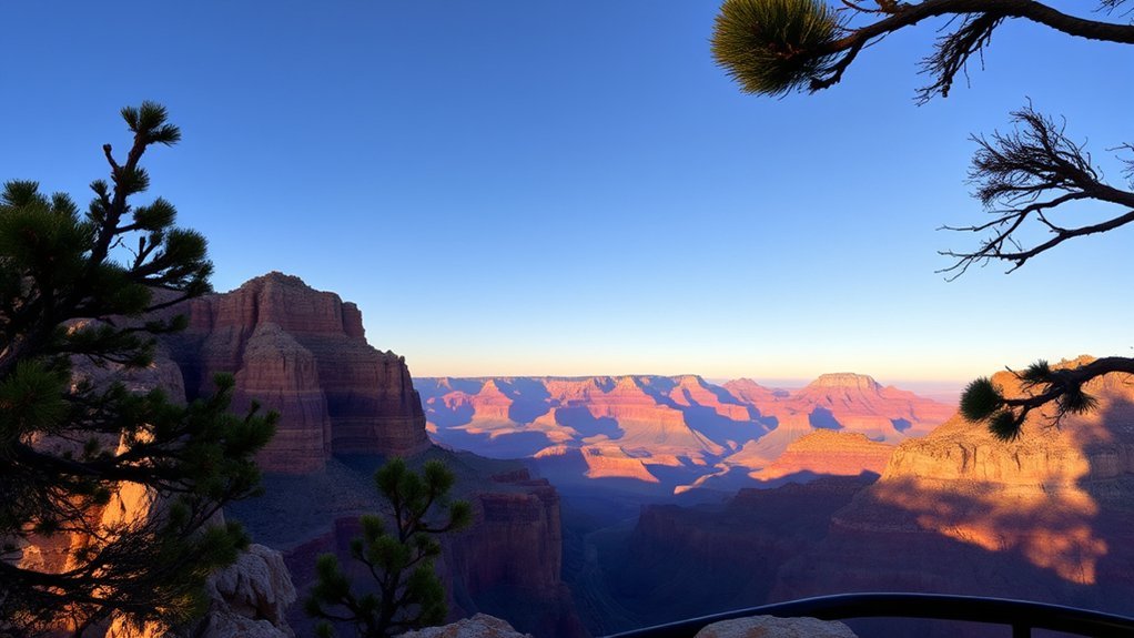 south rim day trip highlights