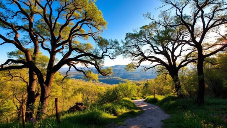 top trails in bentonville