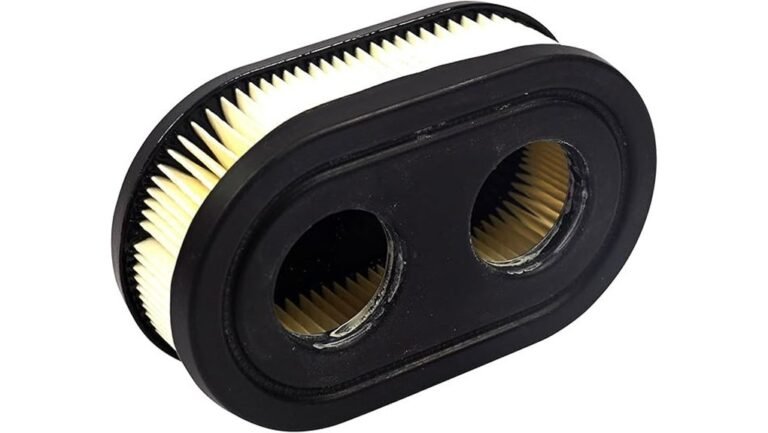 briggs and stratton filter review