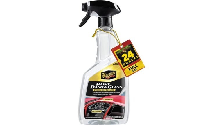 cleaning and detailing solution