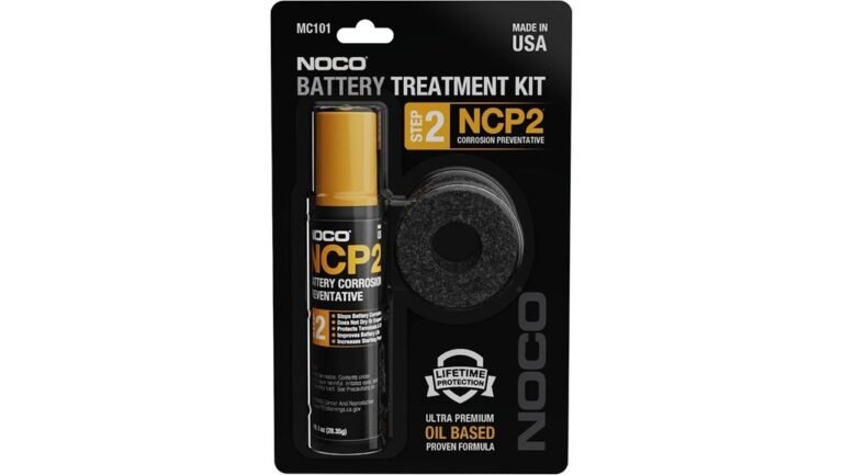 battery terminal cleaning kit