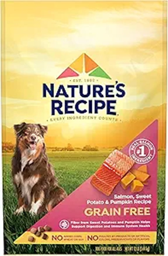 Nature's Recipe Grain Free Dry Dog Food - Salmon