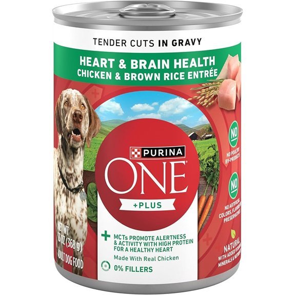 Purina ONE Tender Cuts Chicken & Brown Rice Dog Food