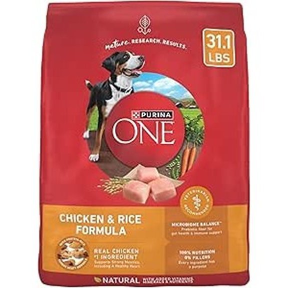 Purina ONE Chicken and Rice Formula Dry Dog Food - 31.1 lb. Bag