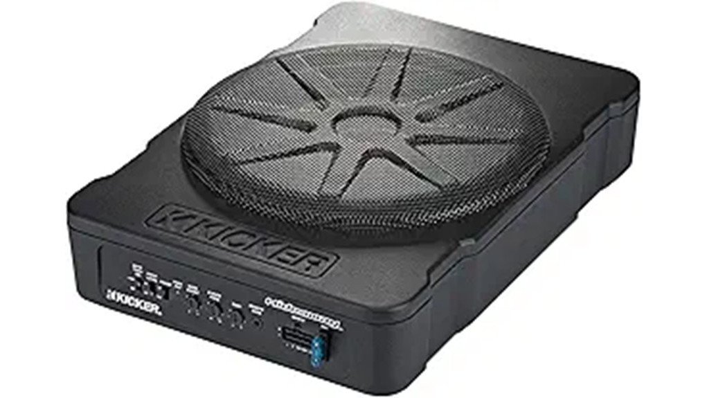 compact yet powerful bass