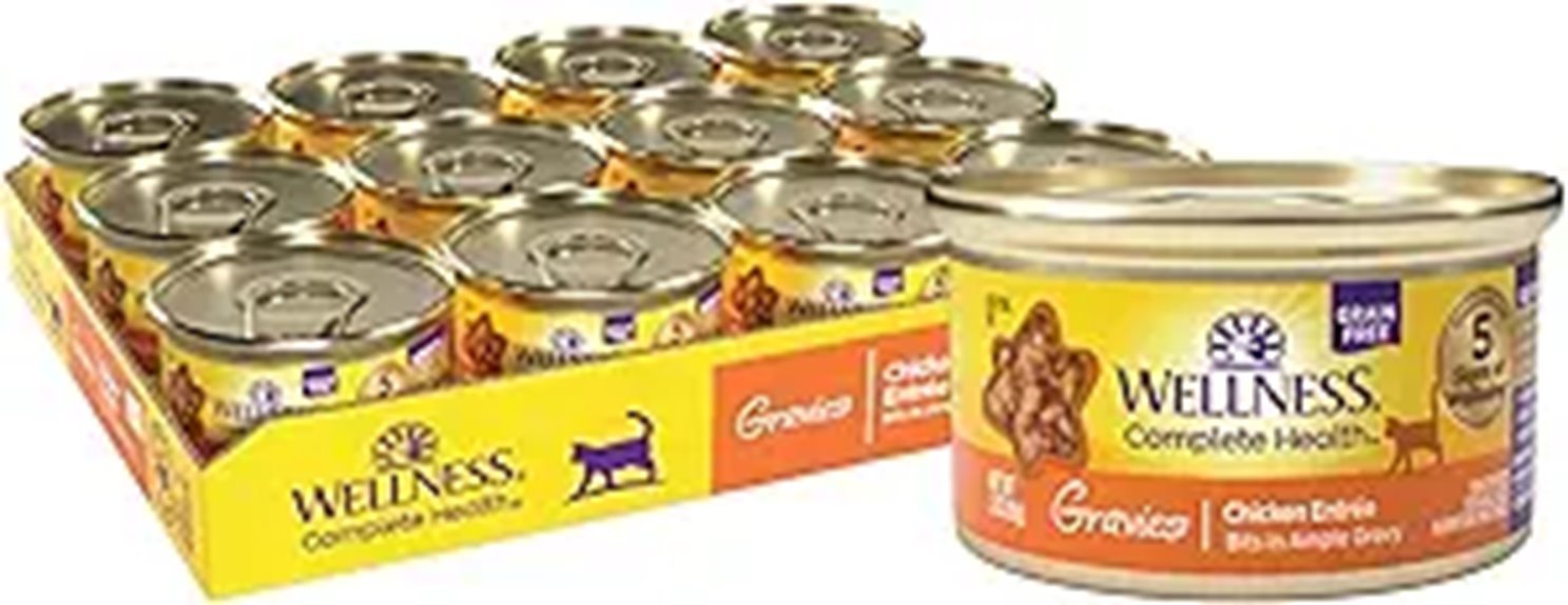 Wellness Complete Health Gravy Wet Cat Food (12 Pack)