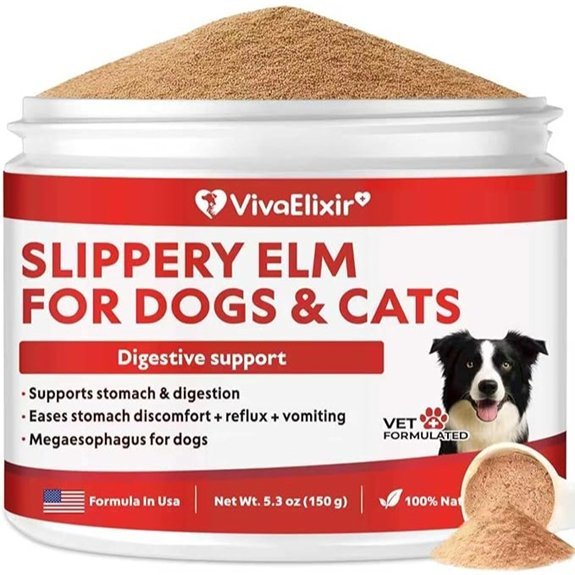 Slippery Elm for Dogs – Digestive Support Aid