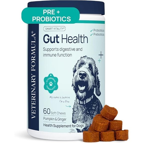 Veterinary Formula Gut Health Supplement for Dogs