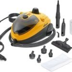 efficient steam cleaner review