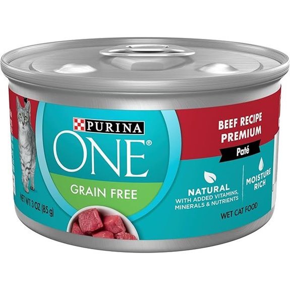 Purina ONE Grain Free Wet Cat Food Pate