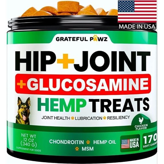 Hemp Hip and Joint Supplement for Dogs