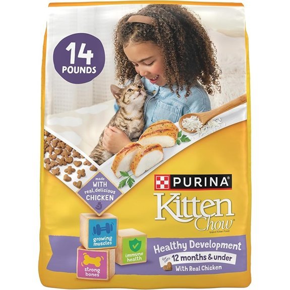 Purina Kitten Chow Dry Cat Food