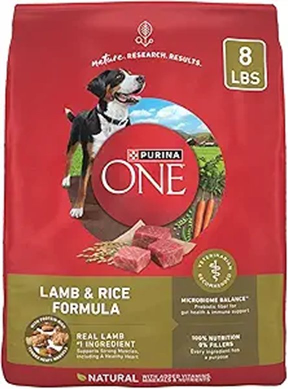 Purina ONE Dry Dog Food Lamb and Rice Formula - 8 lb. Bag