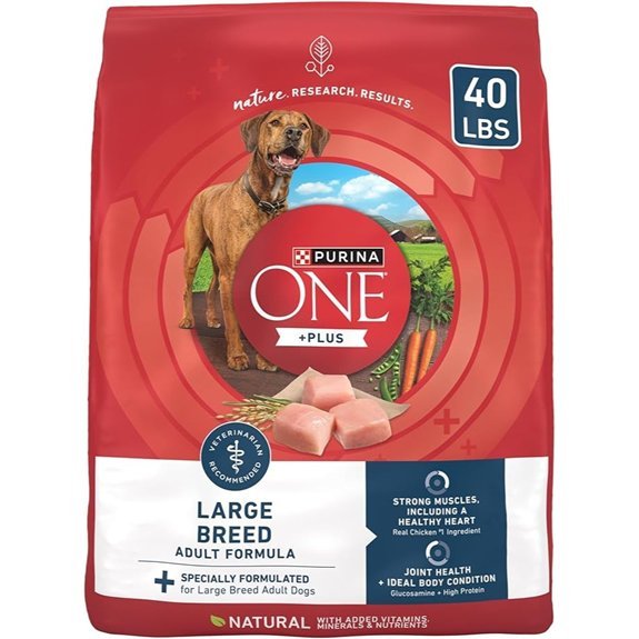 Purina ONE Plus Large Breed Adult Dog Food