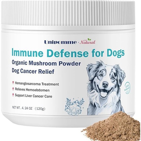 Dog Cancer Support Supplements with Mushroom Extracts