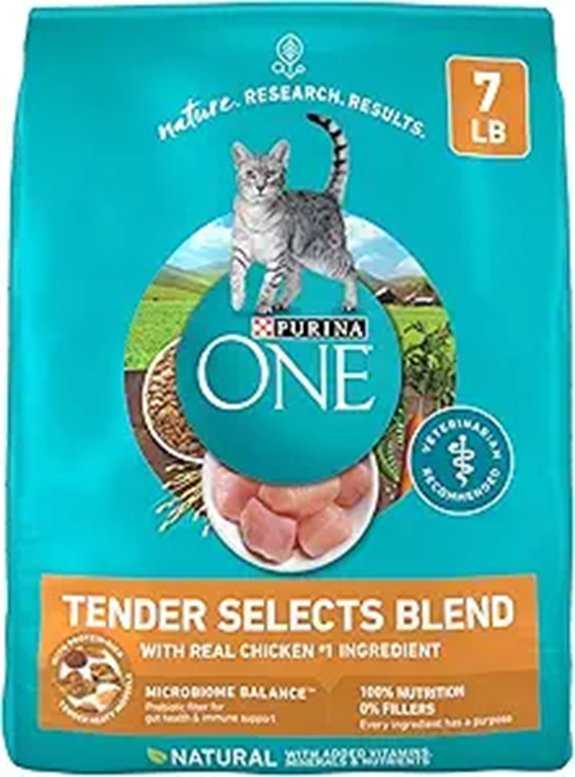 Purina ONE Natural Dry Cat Food - 7 lb