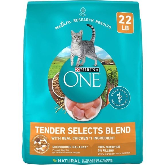 Purina ONE Natural Dry Cat Food - 22 lb