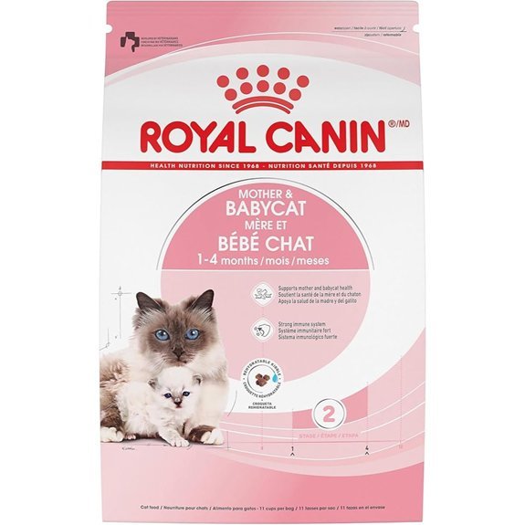 Royal Canin Mother & Babycat Dry Cat Food