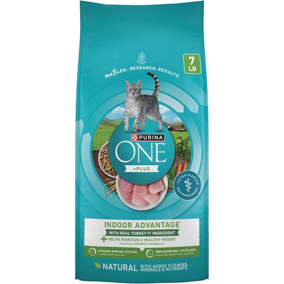 Purina ONE Indoor Dry Cat Food - 7 lb. Bag