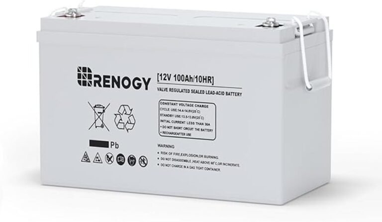 renogy agm battery performance review