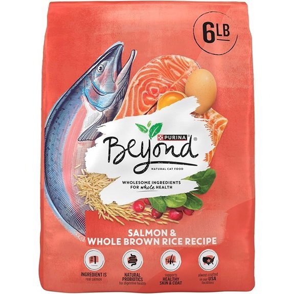 Purina Beyond Dry Cat Food Salmon & Brown Rice