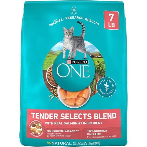 Purina ONE Natural Dry Cat Food with Salmon