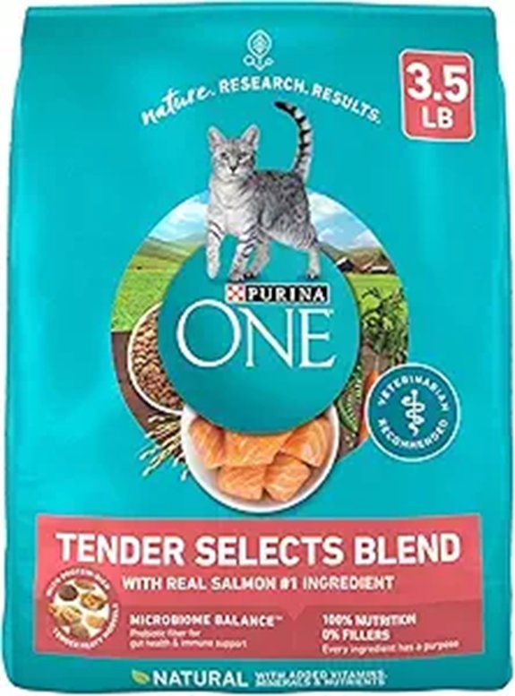 Purina ONE Natural Dry Cat Food with Salmon