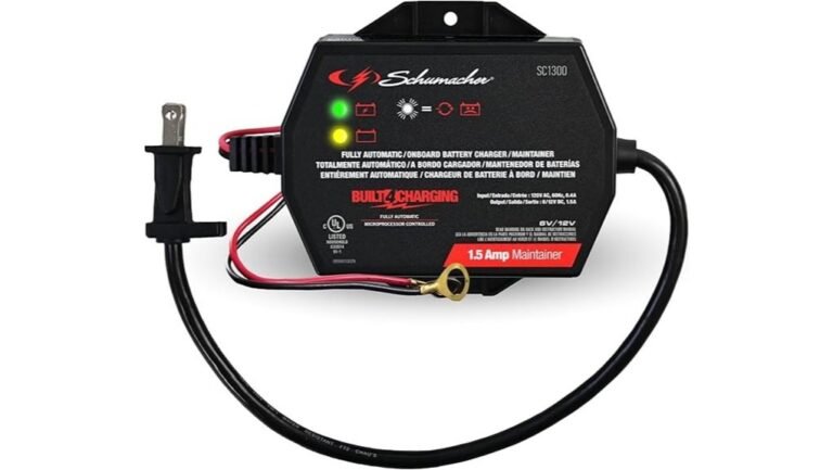 schumacher electric charger review