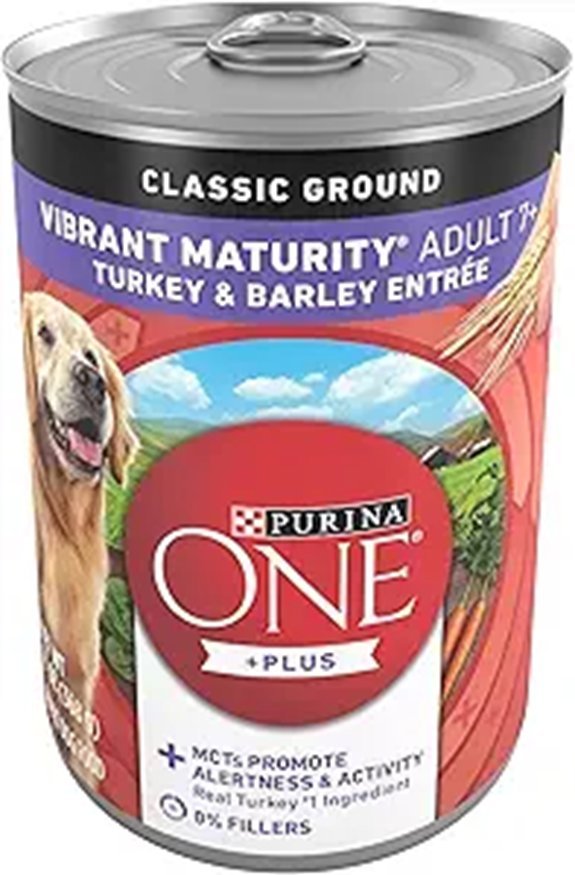 Purina ONE Plus Senior Dog Food (Pack of 12)