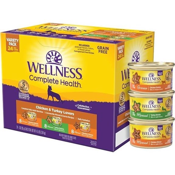 Wellness Complete Health Gravy Wet Cat Food (24 Pack)
