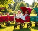 top stroller wagons 2026