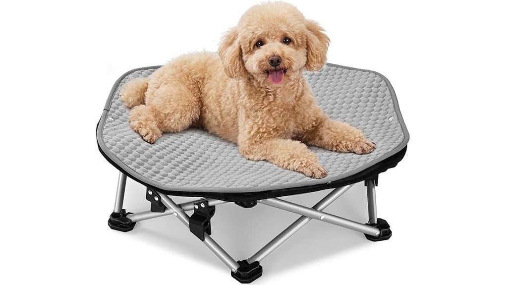 comfortable elevated dog bed