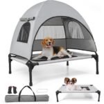 comfortable elevated dog bed
