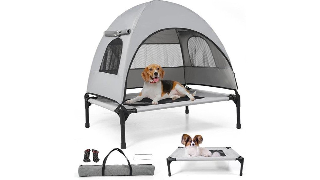 comfortable elevated dog bed