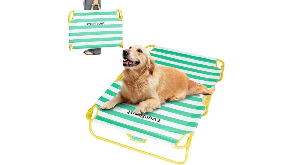 comfortable elevated dog bed