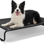 comfortable elevated dog bed
