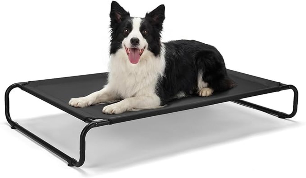 comfortable elevated dog bed