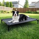 comfortable elevated pet bed