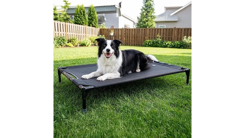 comfortable elevated pet bed