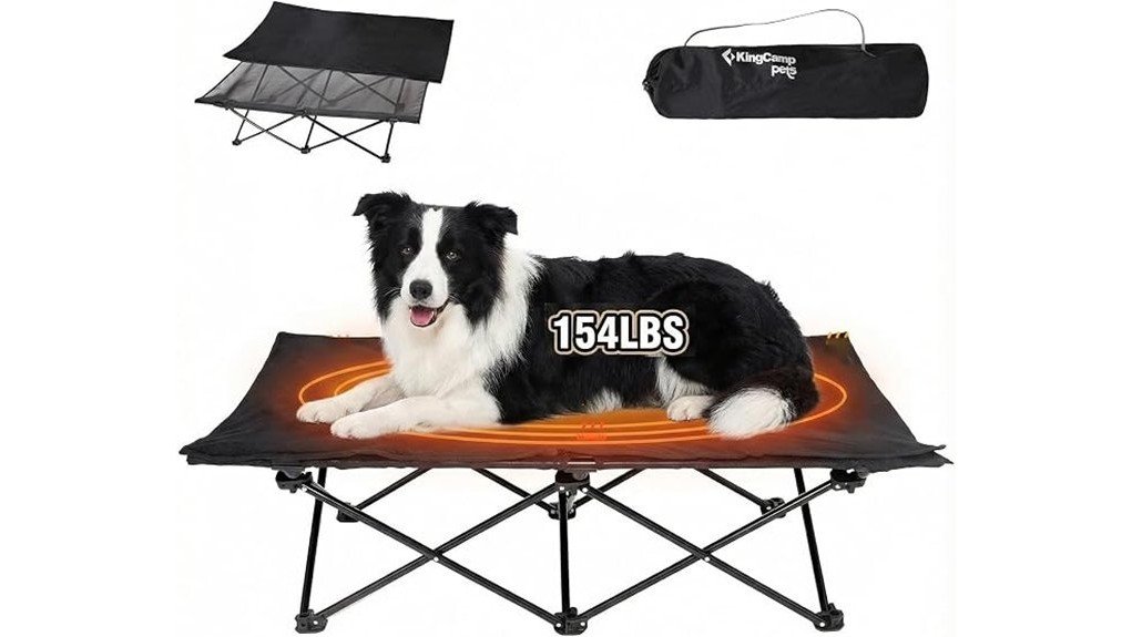 comfortable elevated pet bed