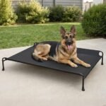 comfortable outdoor dog bed