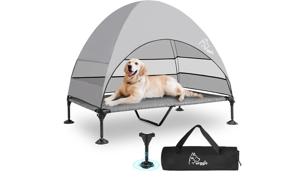 comfortable raised dog sleeping
