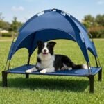 comfortable shaded pet resting