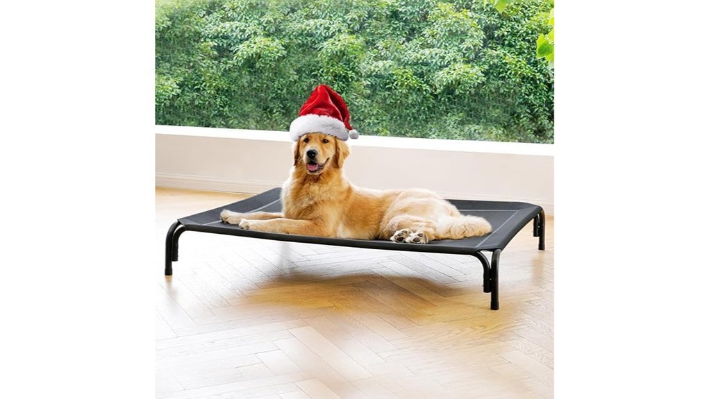 cooling elevated dog bed