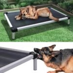 durable elevated dog bed