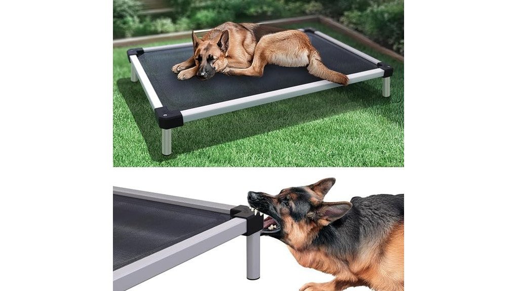 durable elevated dog bed