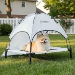 elevated outdoor dog cot