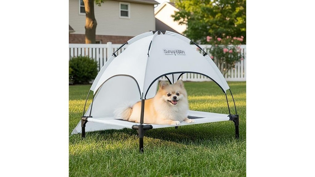 elevated outdoor dog cot