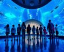 exciting aquatic adventures await
