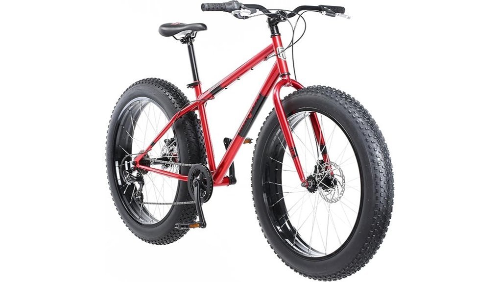 fat tire mountain bike